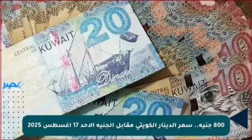 800 جنيه.. سعر الدينار الكويتي مقابل الجنيه الأحد 17 أغسطس 2025